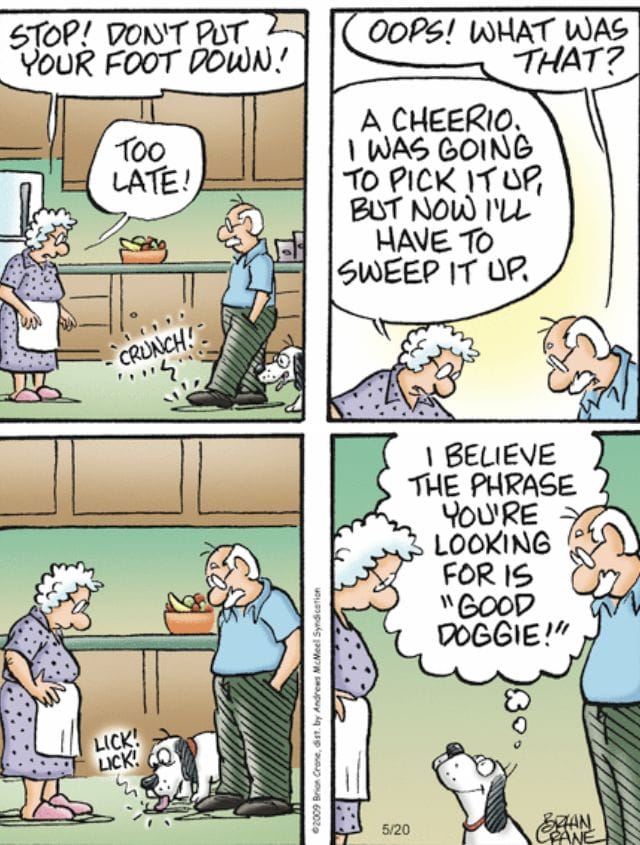 17-71 20 Hilarious and Relatable Humorous Aging Cartoons That Nail Senior Life