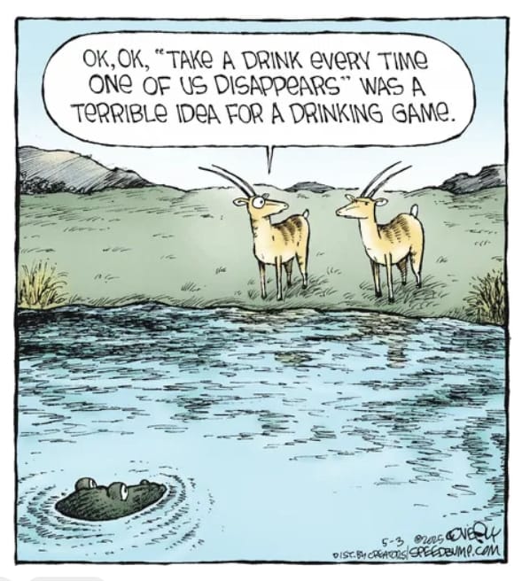 19-5 20 Hilarious Speed Bump Comics by Dave Coverly Packed with Wit