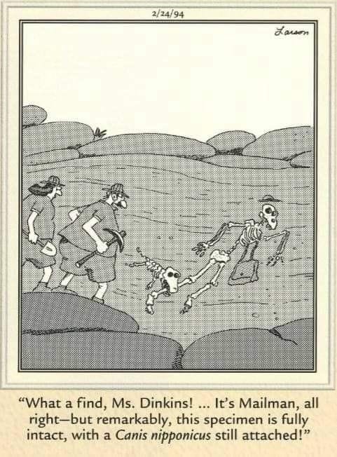 19-50 20 Best of The Far Side Comics That Prove Gary Larson Is Still the King of Weird