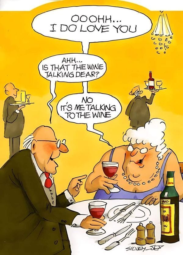 2-11 20 Hilarious Old Couple Cartoons That Perfectly Capture Aging Humor