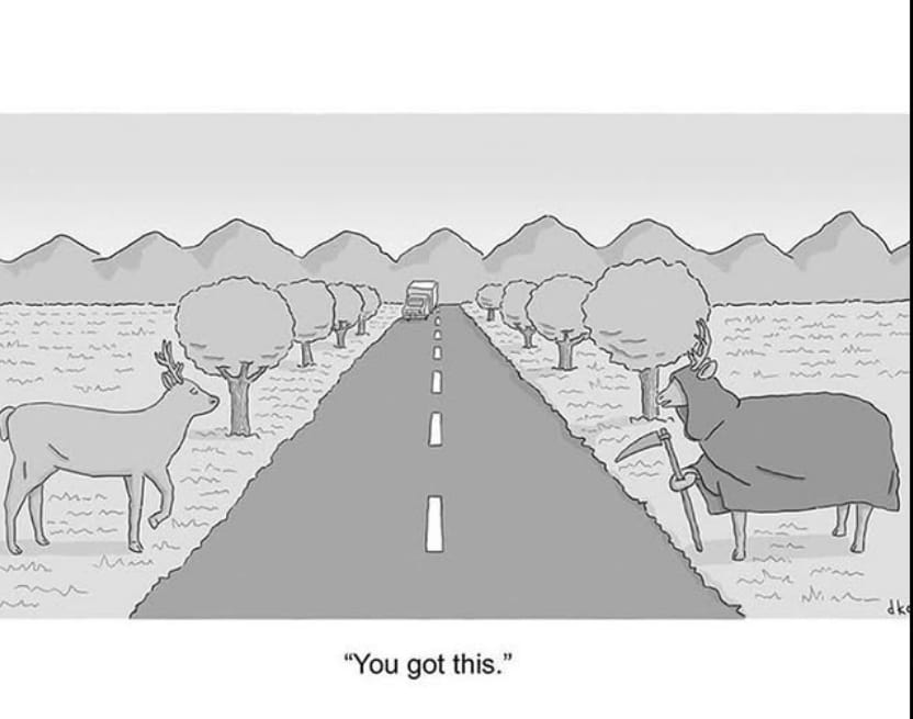 2-23 20 Best Humor Cartoons by David Ostow That Fans Absolutely Love