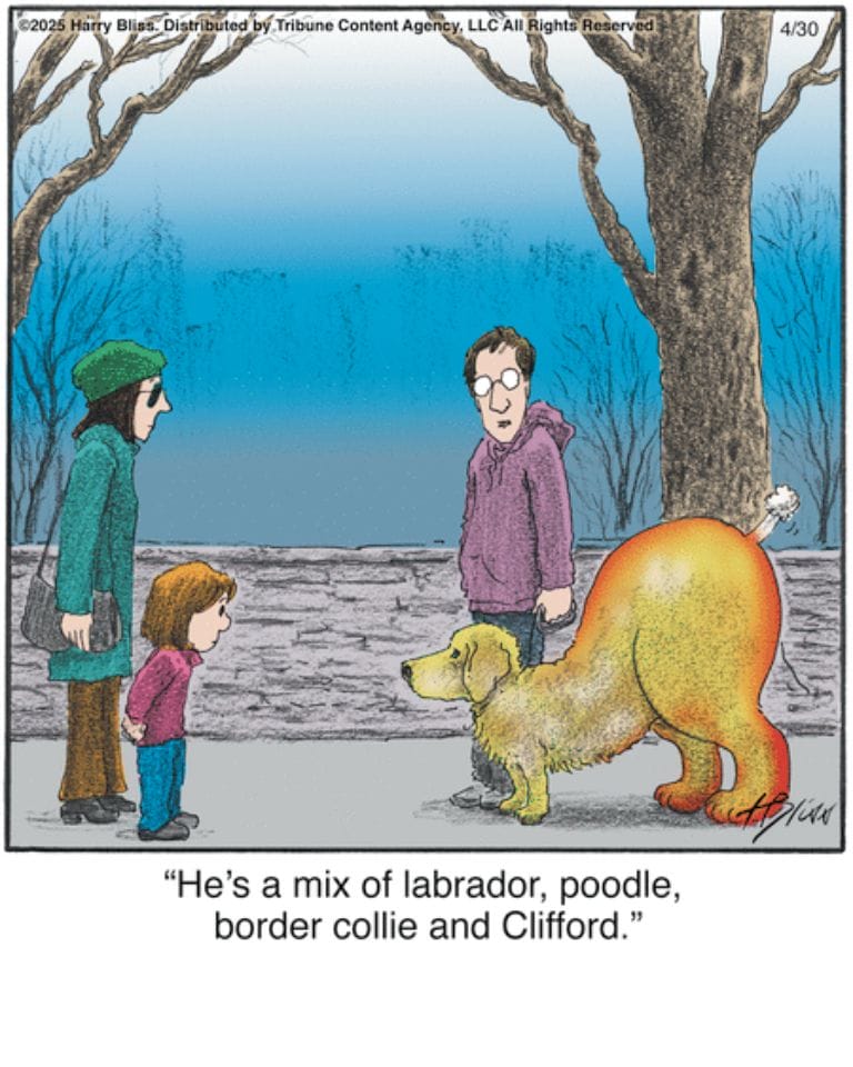 2-26 10 Hilarious Dogs Comics by Harry Bliss That Pet Owners Will Love and Relate To