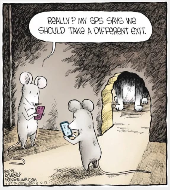 2-64 20 Relatable life cartoons by Dave Coverly That Nail Everyday Absurdity