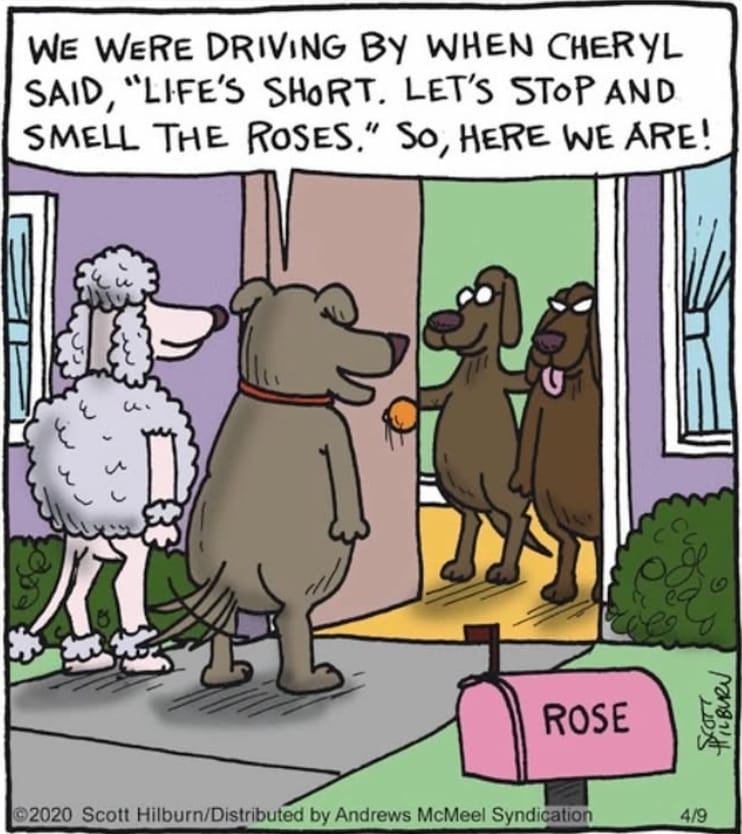 2-75 20 Hilarious Single Panel Humor by Scott Hilburn That Nail Everyday Absurdity