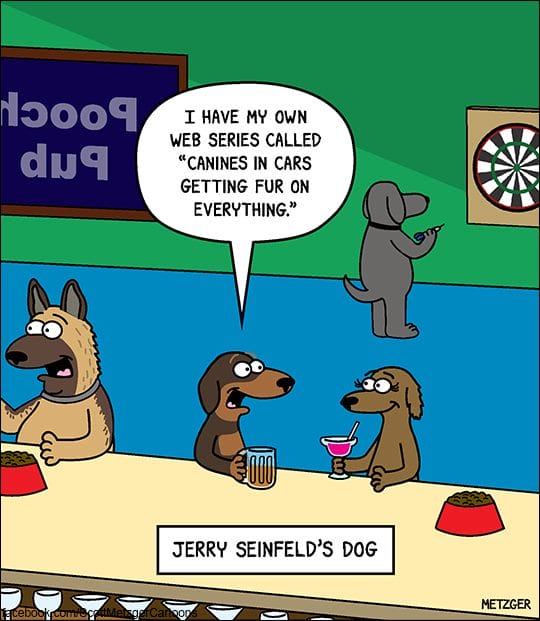 2-81 20 Funny Cat Cartoons by Scott Metzger That Totally Get Cat Life