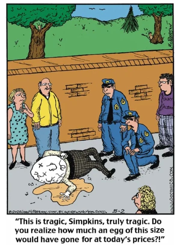20-10 20 of the Best Humor Comics by John McPherson With a Twisted Touch