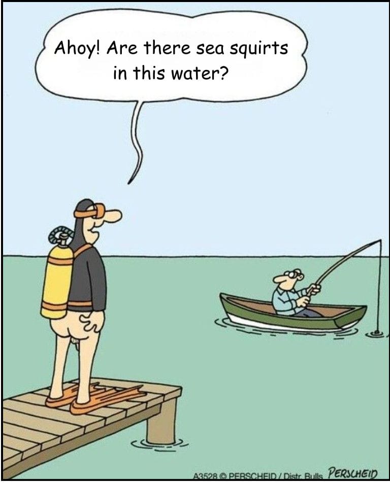 20-5 20 Bold and Hilarious Dark Humor Cartoons by Martin Perscheid You Have to See