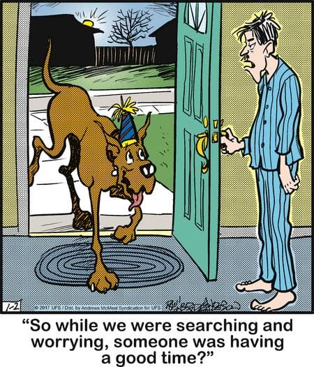 20-62 20 Wholesome and Hilarious Dog Comics by Brad Anderson You Can’t Miss