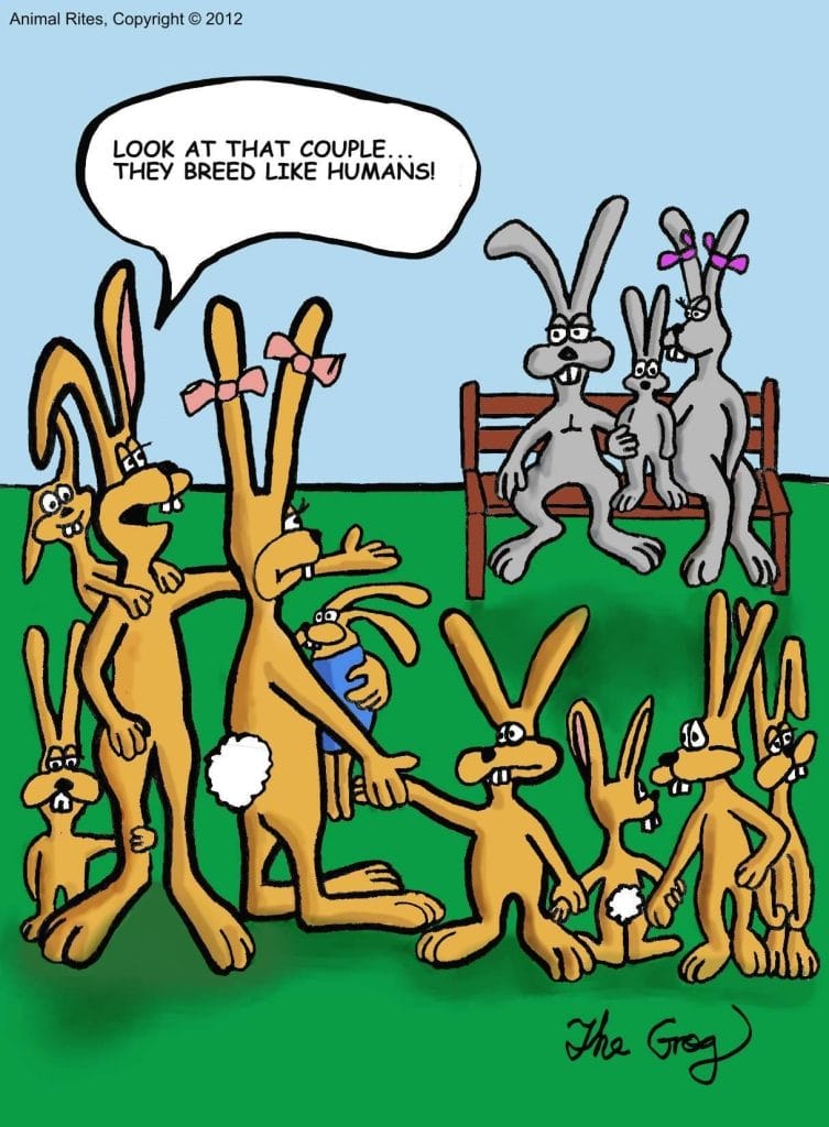 21-753x1024 20 Dark and Deep Humor Comics by The Grog That’ll Twist Your Funny Bone