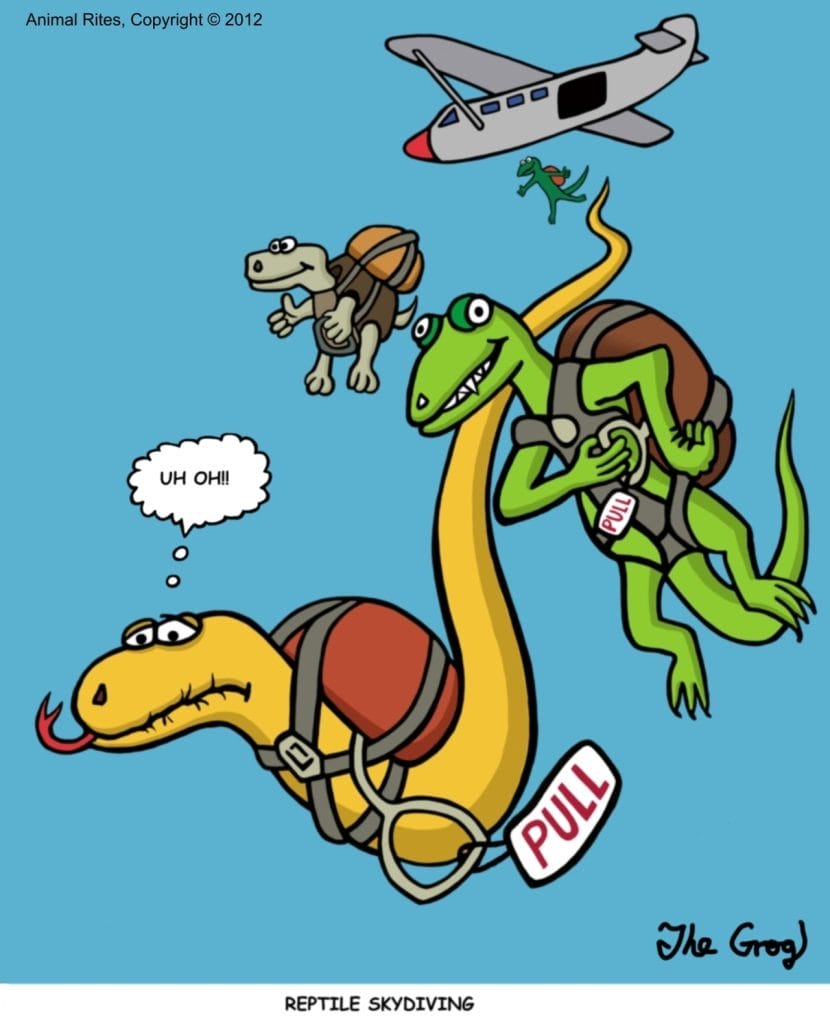 26-830x1024 20 Dark and Deep Humor Comics by The Grog That’ll Twist Your Funny Bone