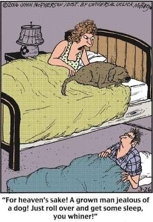 3-2 20 Hilarious Close to Home Comics By John McPherson A Dose of Dark Humor