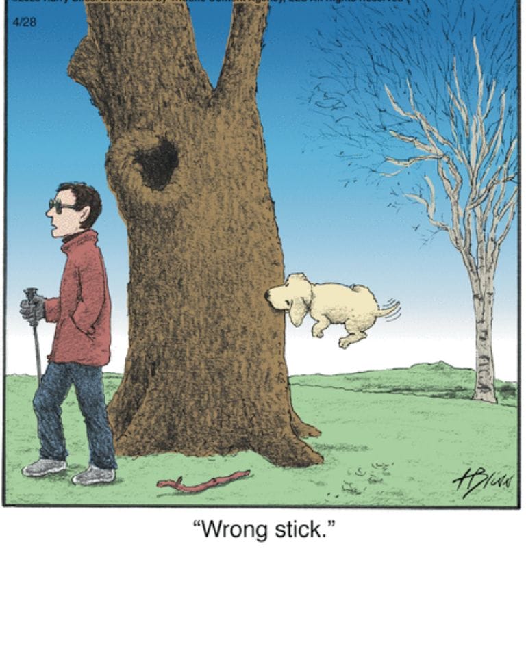 3-25 10 Hilarious Dogs Comics by Harry Bliss That Pet Owners Will Love and Relate To