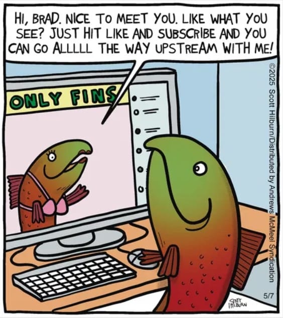 3-38-1 Top 10 Funniest Single Panel Humor Comics from Argyle Sweater You Can’t Unsee