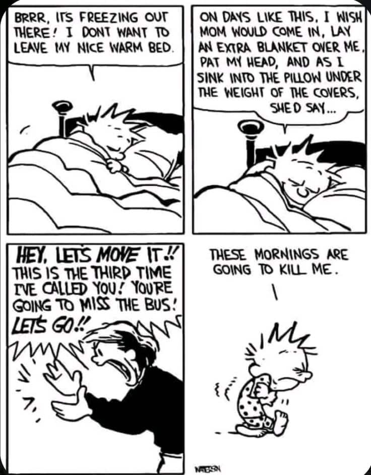 3-54 20 Hilarious Calvin and Hobbes Cartoons Every Fan Needs to See Again
