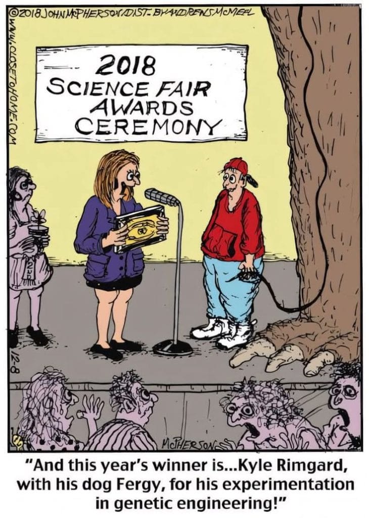 3-60-730x1024 The 20 Best Trending Humor Comics for a Daily Dose of Fun