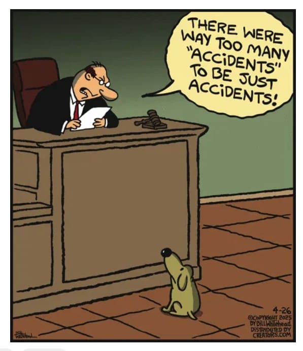 3-7 10 Witty Free Range Comics That Prove Bill Whitehead Is a Master of Humor
