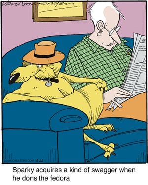 3-73 20 Absurd Comics Humor Gems from Ballard Street You Need to See
