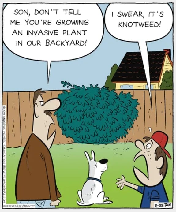 3-90 20 Brevity daily cartoons That’ll Totally Twist Your View of the Everyday
