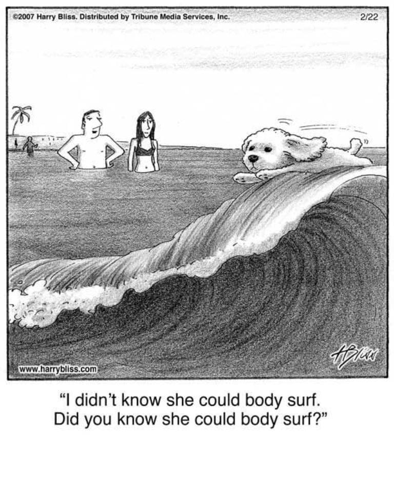 4-25 10 Hilarious Dogs Comics by Harry Bliss That Pet Owners Will Love and Relate To