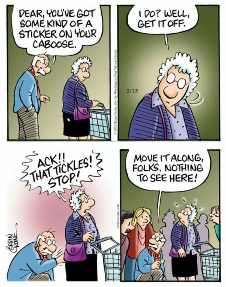 4-34 10 Hilarious Earl and Opal Pickles Cartoons That Perfectly Capture Aging and Marriage