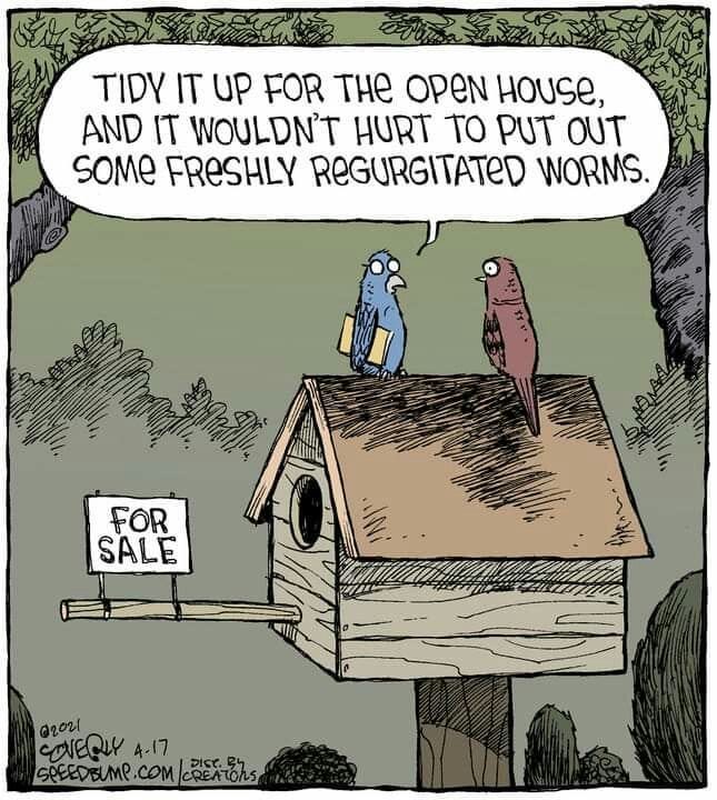 4-42 20 Funny Comics by Dave Coverly That Are Clever, Witty, and Relatable