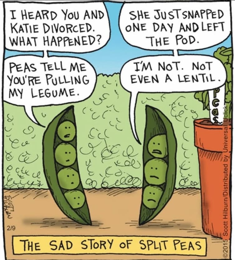 4-73 20 Hilarious Single Panel Humor by Scott Hilburn That Nail Everyday Absurdity