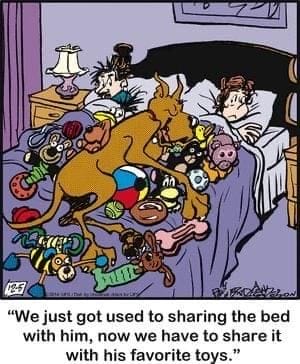 4-85 20 Wholesome and Hilarious Dog Comics by Brad Anderson You Can’t Miss