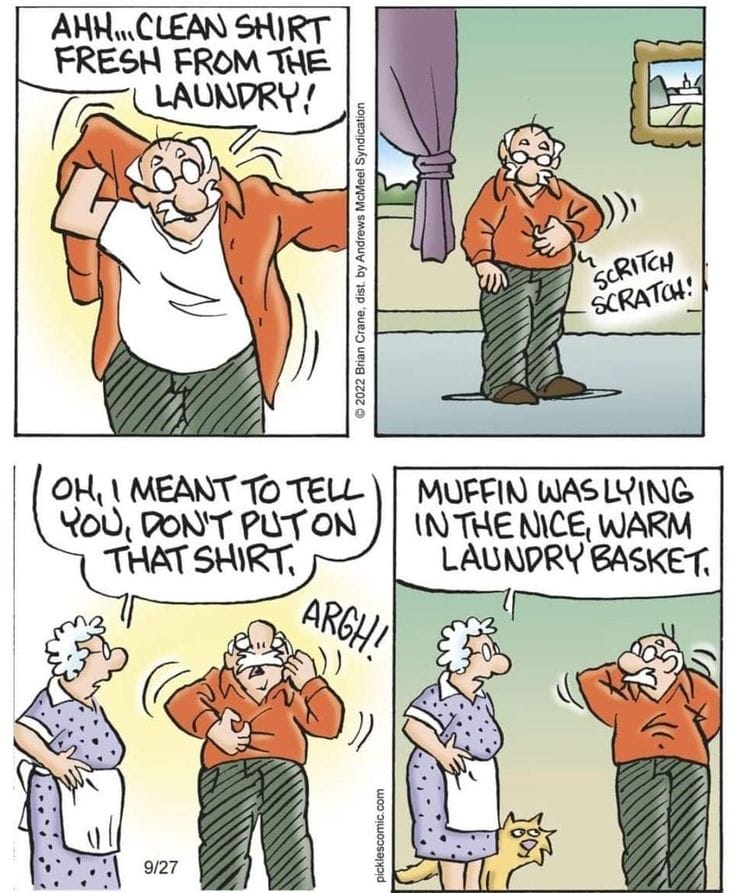 4-93 20 Hilarious and Relatable Humorous Aging Cartoons That Nail Senior Life