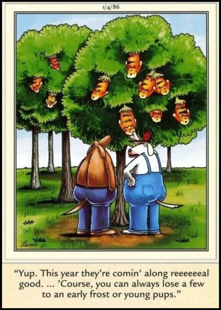 Classic Dark Humor