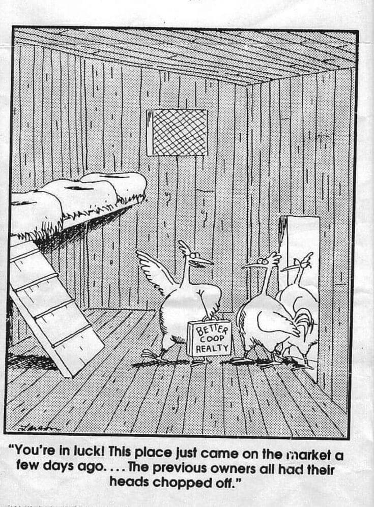5-18 20 Hilarious Daily Humor Comics by Gary Larson That Still Hold Up Today