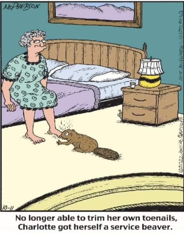 5-2 20 Hilarious Close to Home Comics By John McPherson A Dose of Dark Humor