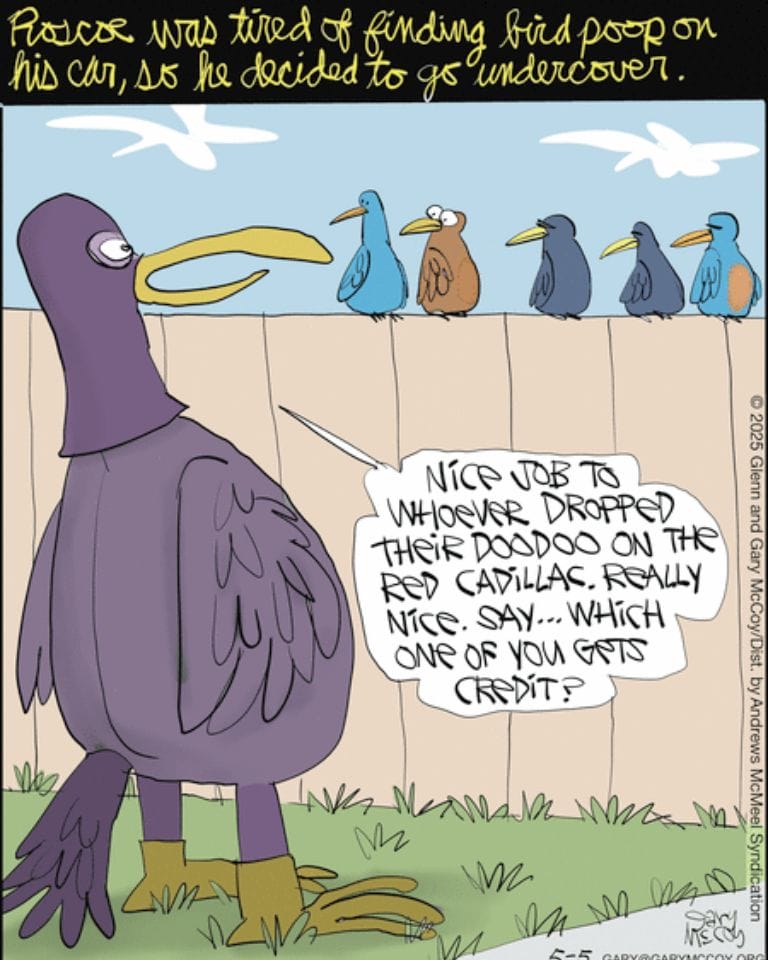 5-24 Top 10 Absurd Comics That Make Everyday Life Feel Ridiculously Funny
