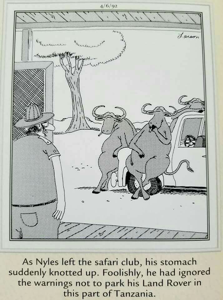 5-45 20 Best Far Side Comics That Still Hilariously Hold Up Today
