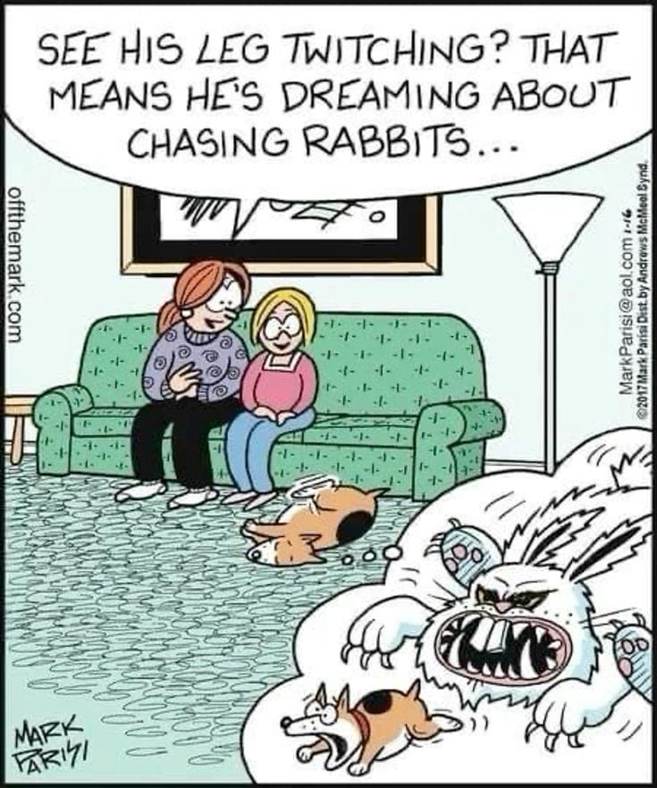 5-58 20 Hilarious Off the Mark Comics for Your Daily Dose of Humor