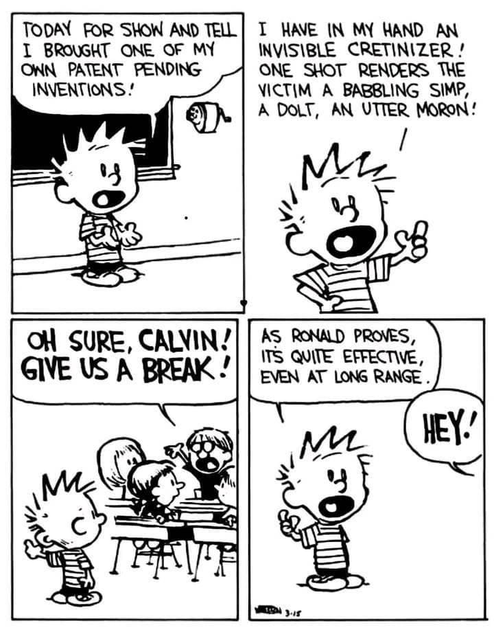 5-6 Top 10 Unforgettable Calvin and Hobbes Comics That Still Make Us Laugh
