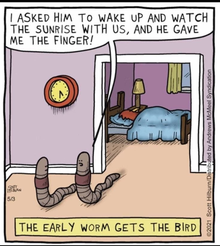 5-60 20 Hilarious Comics Online by Scott Hilburn That’ll Instantly Brighten Your Day