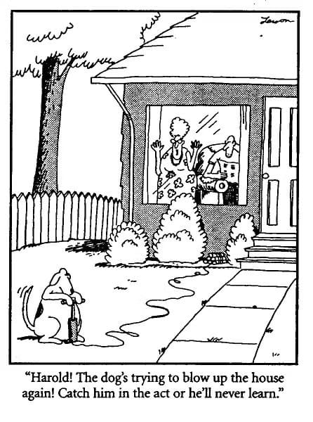 5-73 20 Best of The Far Side Comics That Prove Gary Larson Is Still the King of Weird