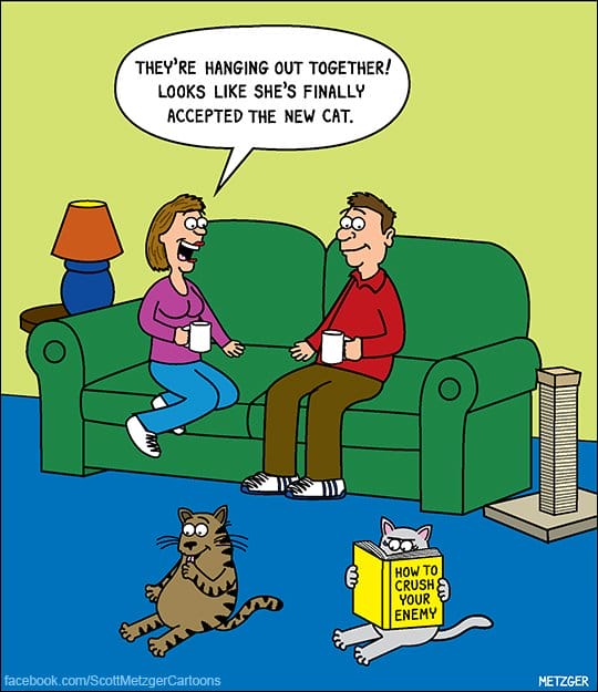 5-81 20 Funny Cat Cartoons by Scott Metzger That Totally Get Cat Life