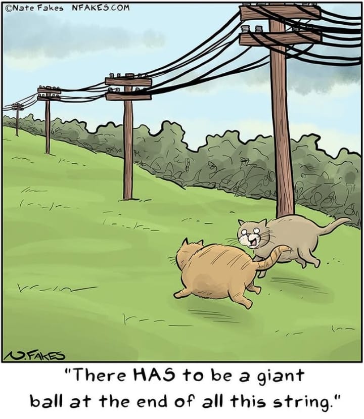 6-20 20 Hilarious One-Panel New Dark Humor Comics by Nate Fakes