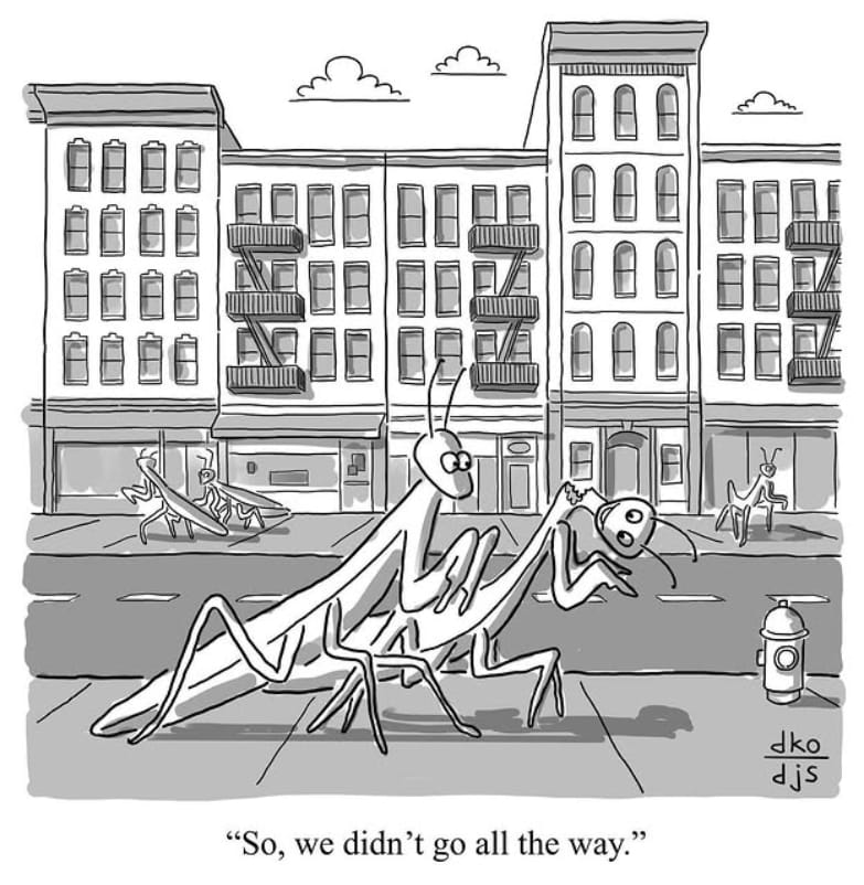 6-22 20 Best Humor Cartoons by David Ostow That Fans Absolutely Love