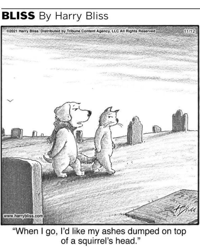 6-25 10 Hilarious Dogs Comics by Harry Bliss That Pet Owners Will Love and Relate To