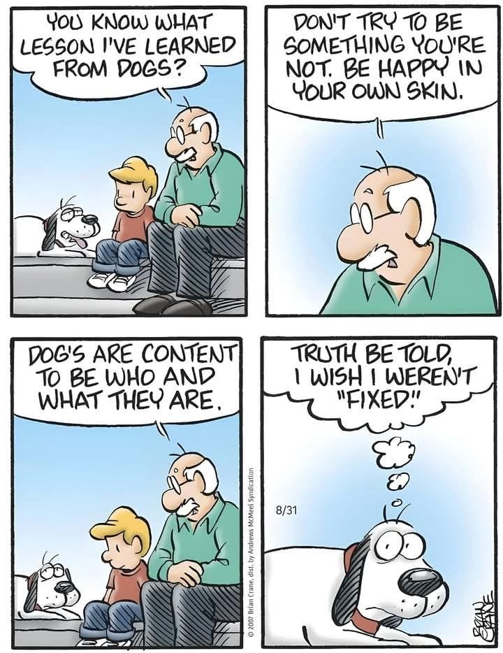 6-34 10 Hilarious Earl and Opal Pickles Cartoons That Perfectly Capture Aging and Marriage