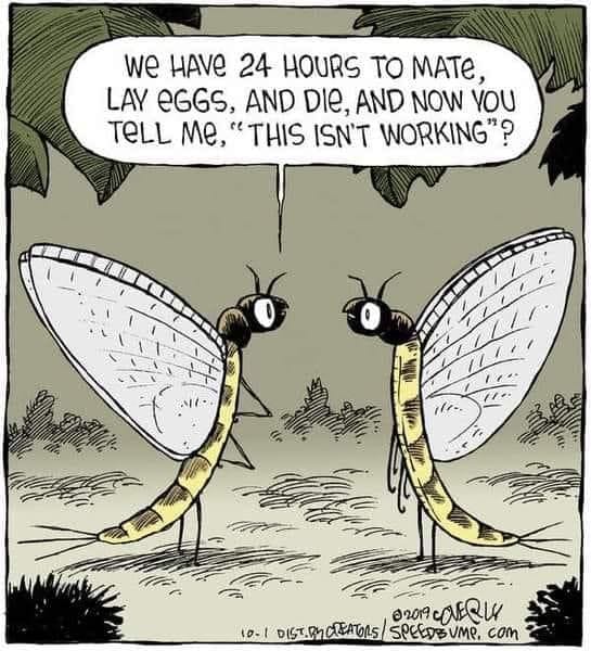 6-42 20 Funny Comics by Dave Coverly That Are Clever, Witty, and Relatable