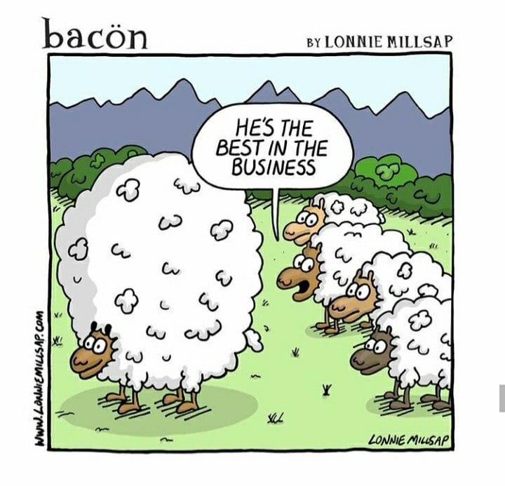 6-5 Top 10 Hilarious Bacon Comics by Lonnie Millsap for Fans of Sharp Humor