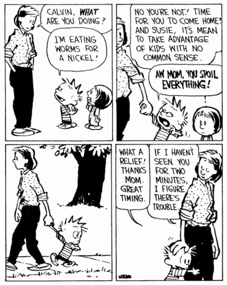 6-6 Top 10 Unforgettable Calvin and Hobbes Comics That Still Make Us Laugh