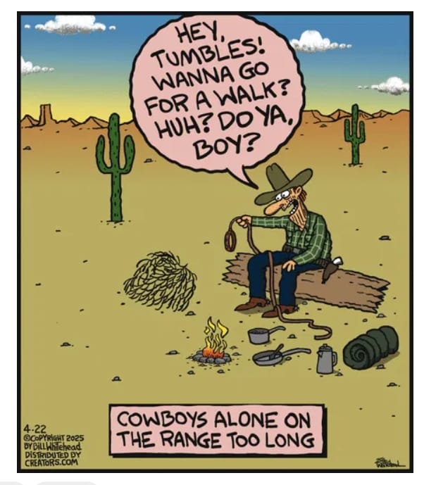 6-7 10 Witty Free Range Comics That Prove Bill Whitehead Is a Master of Humor