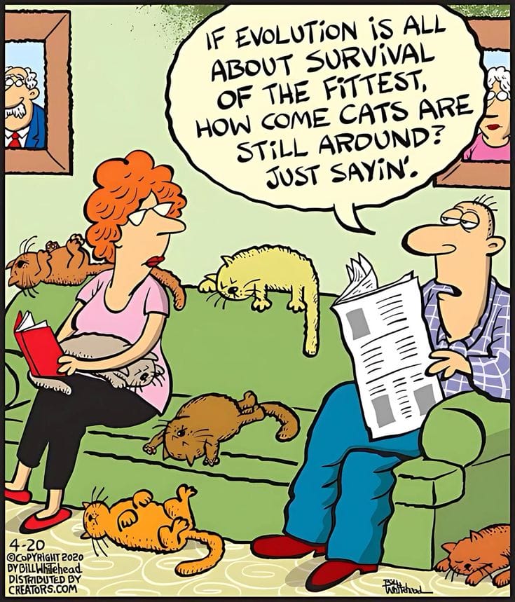 6-77 20 Witty Absurd Comics by Bill Whitehead That’ll Blow Your Mind