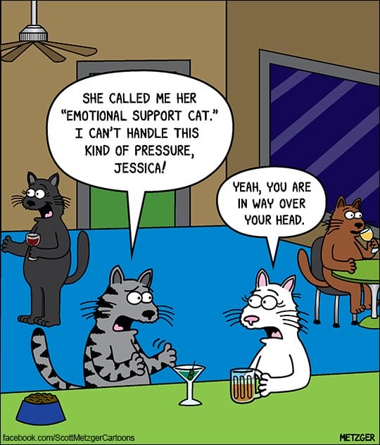 6-80 20 Funny Cat Cartoons by Scott Metzger That Totally Get Cat Life
