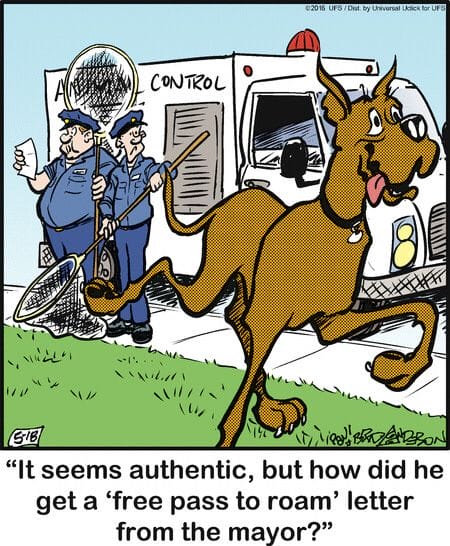 6-86 20 Wholesome and Hilarious Dog Comics by Brad Anderson You Can’t Miss