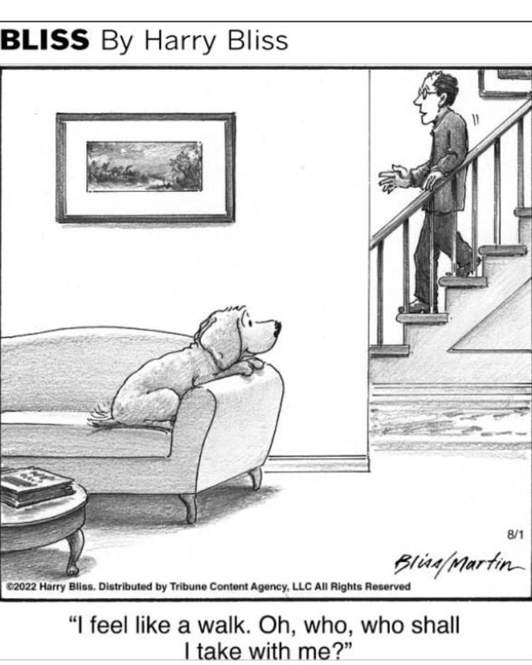 7-24 10 Hilarious Dogs Comics by Harry Bliss That Pet Owners Will Love and Relate To